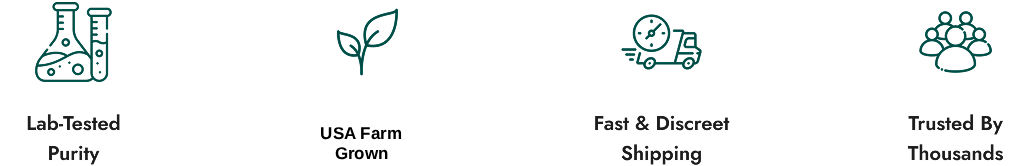 Guarantee & safe checkout