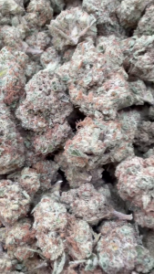 raspberry kush